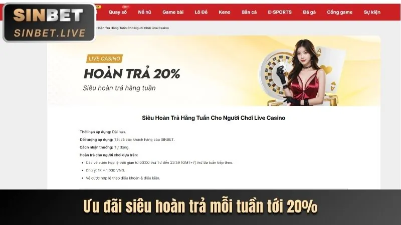 Banner chương trình VIP và lợi ích độc quyền cho thành viên Winwin